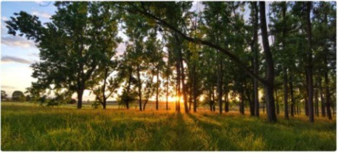 All Seasons Country Lodge Taree Eksteriør billede