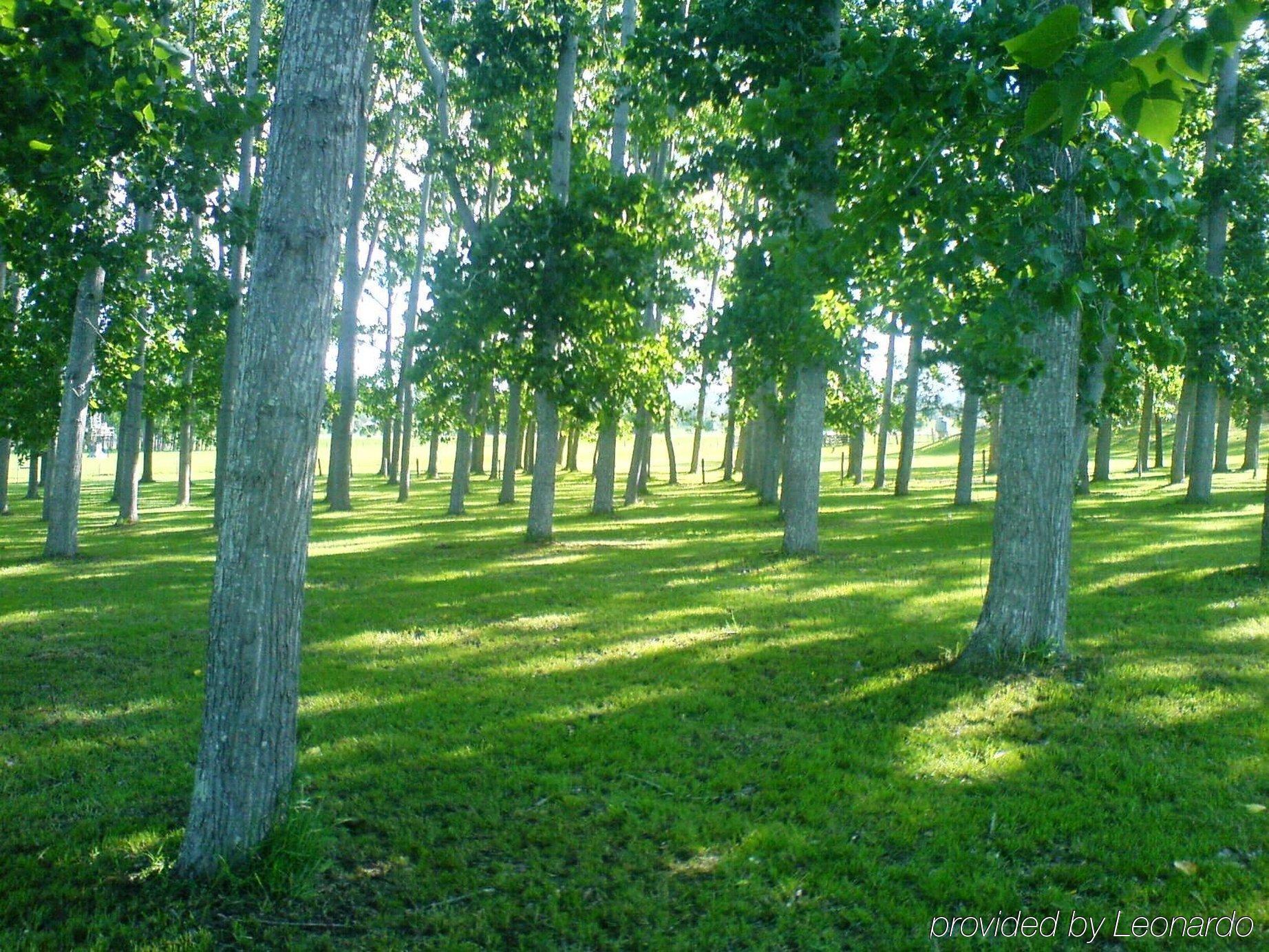 All Seasons Country Lodge Taree Eksteriør billede